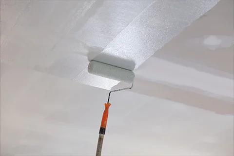 Residential Ceiling Color